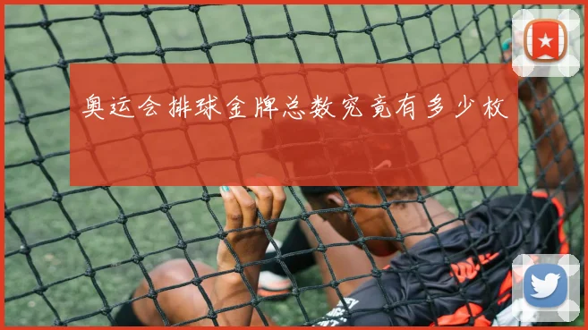 奥运会排球金牌总数究竟有多少枚