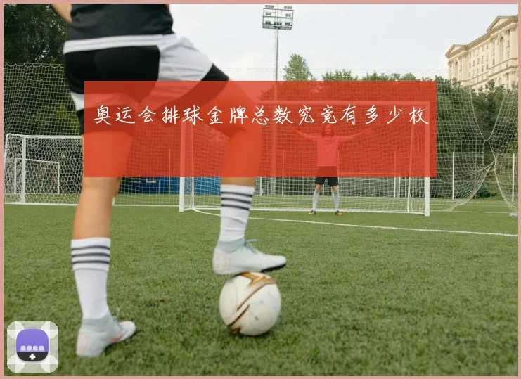 奥运会排球金牌总数究竟有多少枚