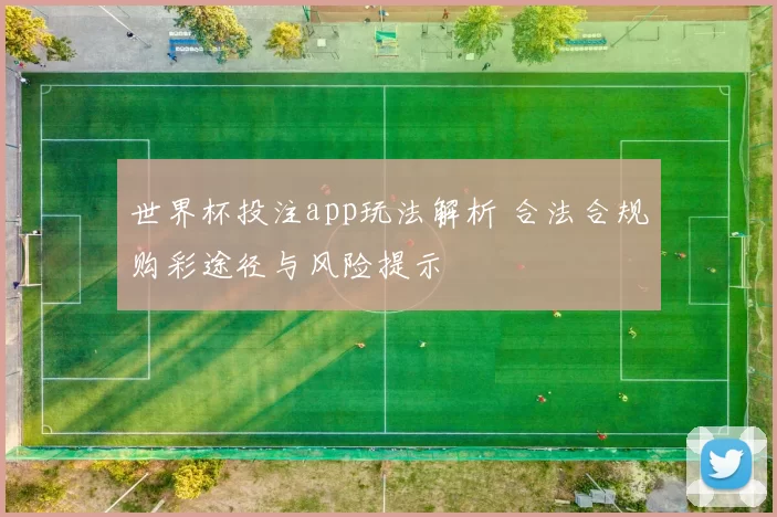 世界杯投注app玩法解析 合法合规购彩途径与风险提示