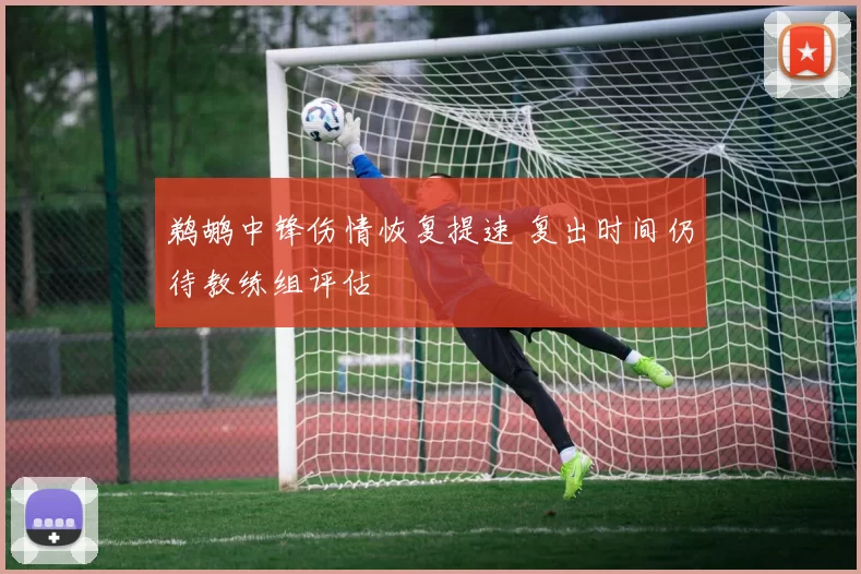 鹈鹕中锋伤情恢复提速 复出时间仍待教练组评估
