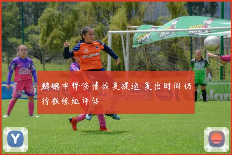鹈鹕中锋伤情恢复提速 复出时间仍待教练组评估